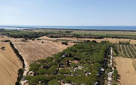 Camping Village Costa D'Argento